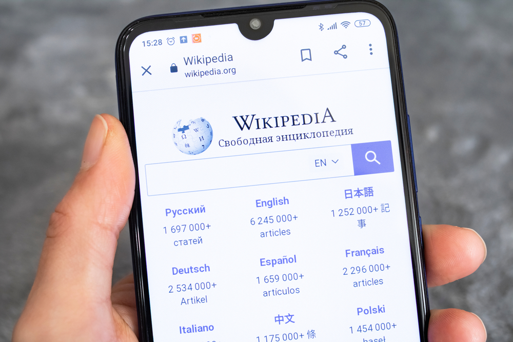 В Роскомнадзор не поступало требований о блокировке &laquo;Википедии&raquo;