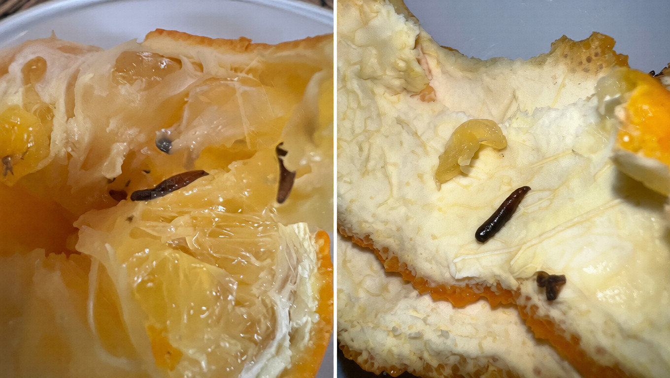 Апельсины с личинками продали москвичу в популярном сетевом супермаркете