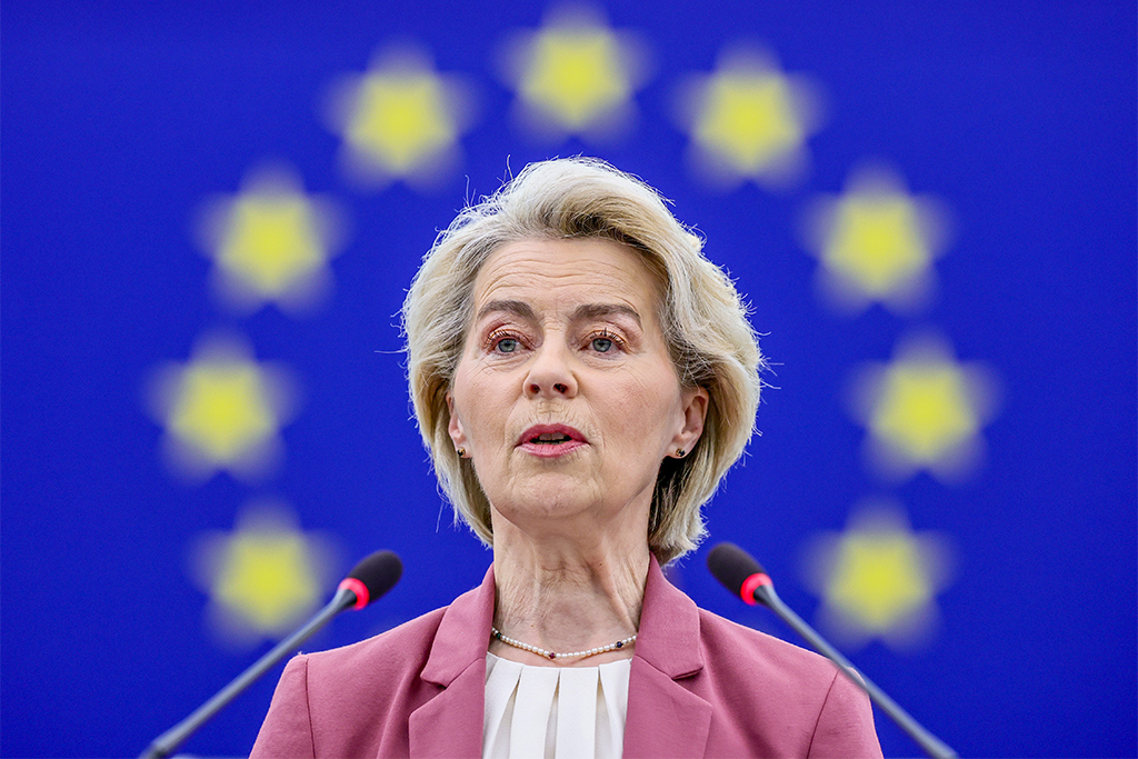 Политик Мема назвал фон дер Ляйен угрозой для ЕС и обвинил в создании &laquo;четвёртого рейха&raquo;