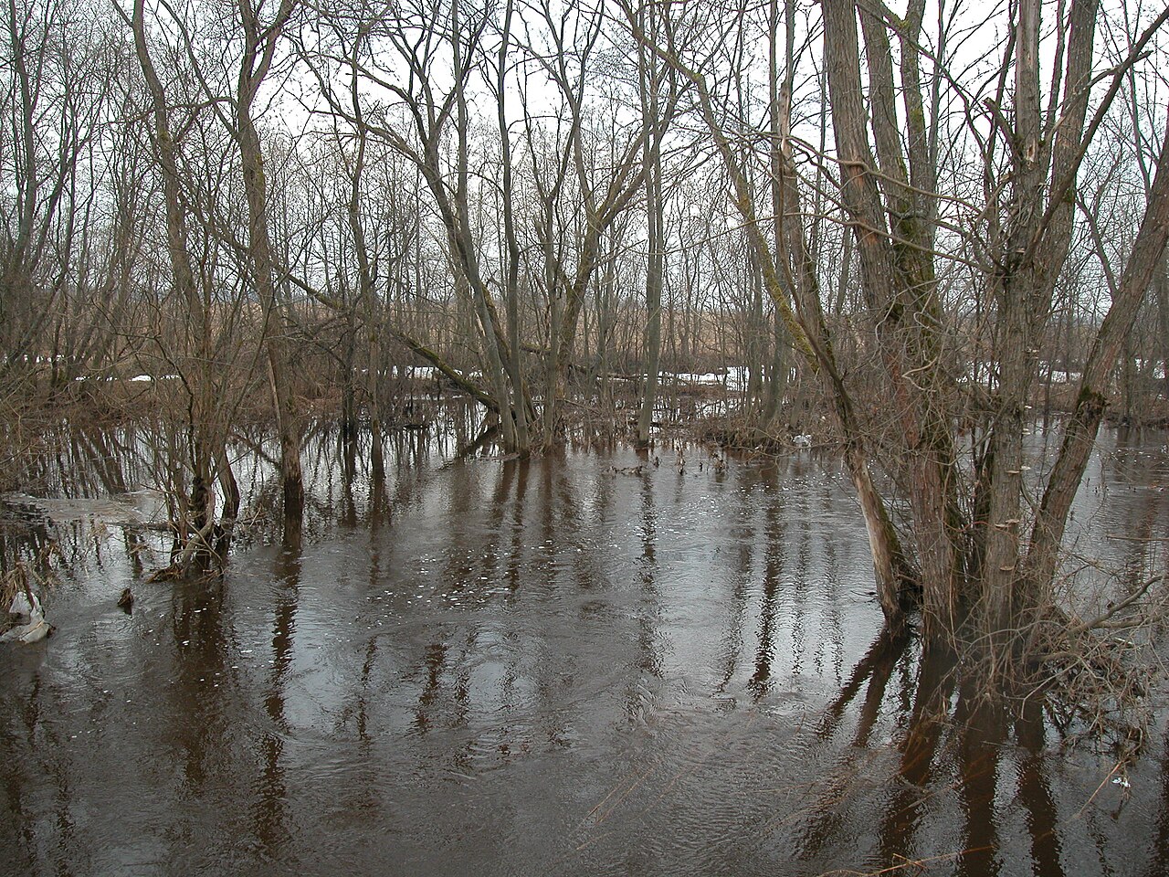 Подъём уровня воды в реке вынудил власти Енисейска перекрыть две дороги