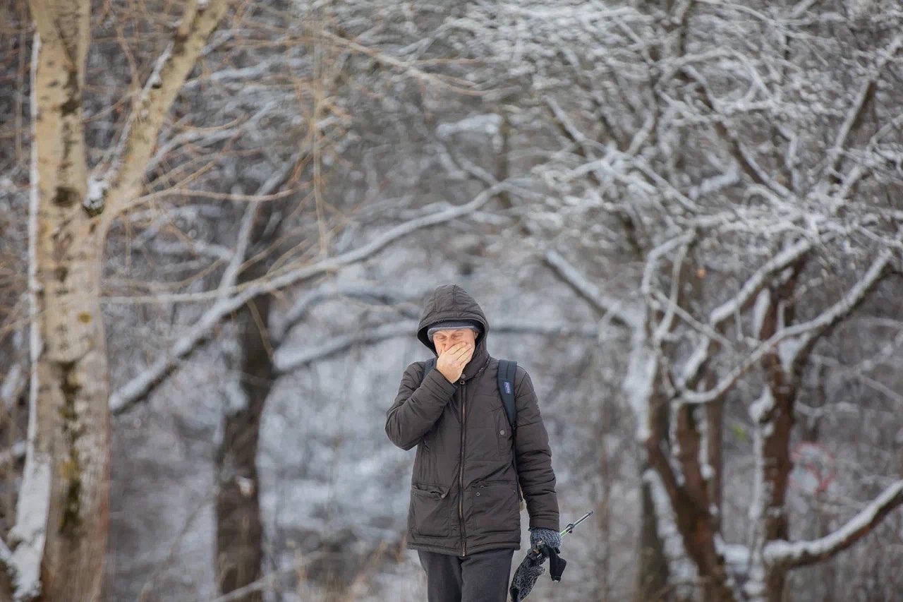 Life.ru выяснил, чем может быть полезна прогулка при лёгком насморке