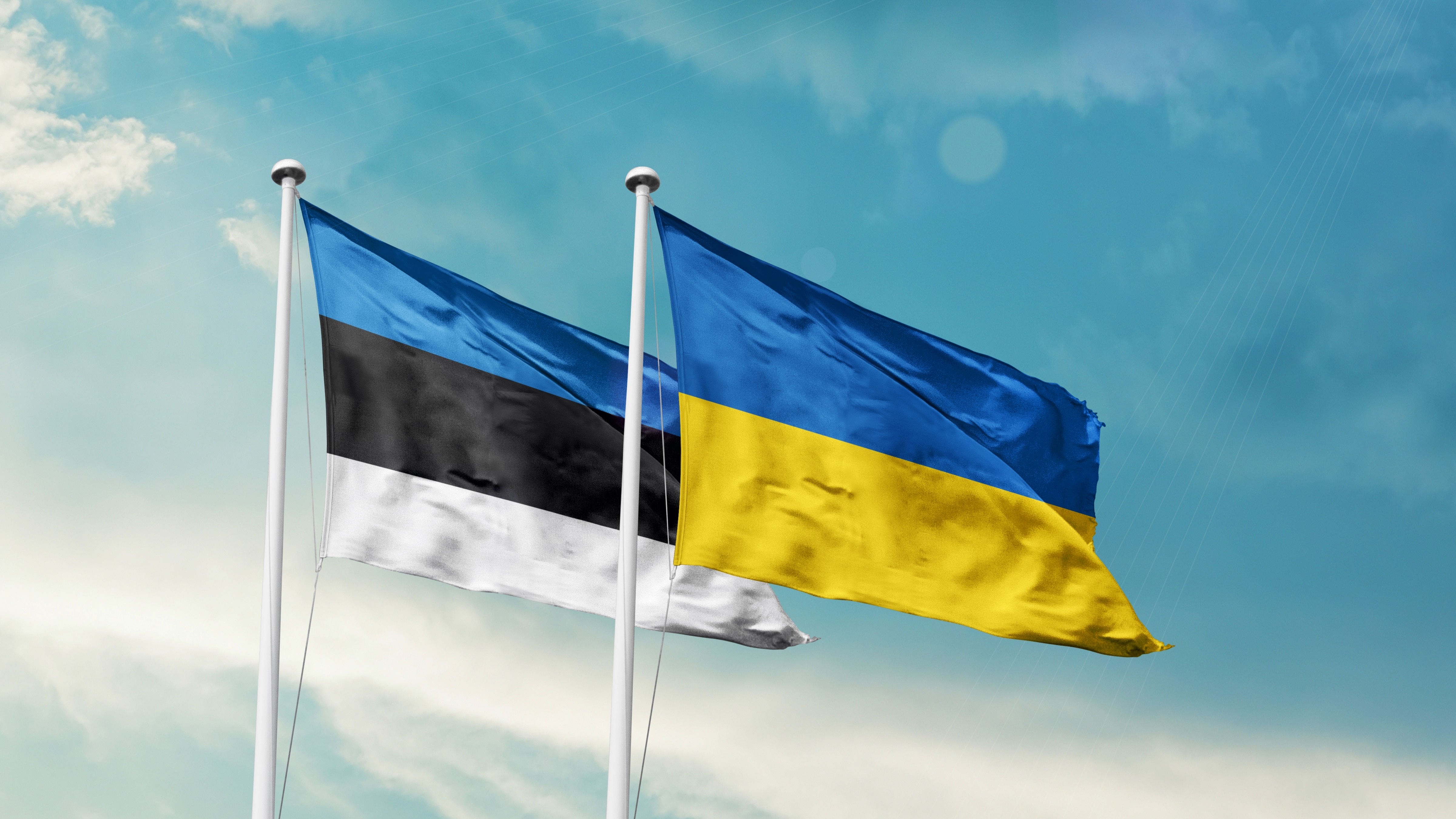 Украина и Эстония обсудили создание совместных оборонных предприятий