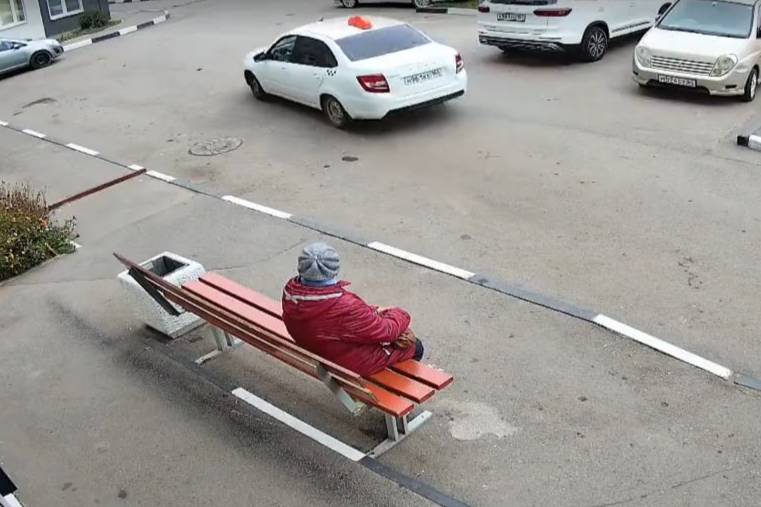 В Энгельсе трёх новорождённых котят выбросили с восьмого этажа