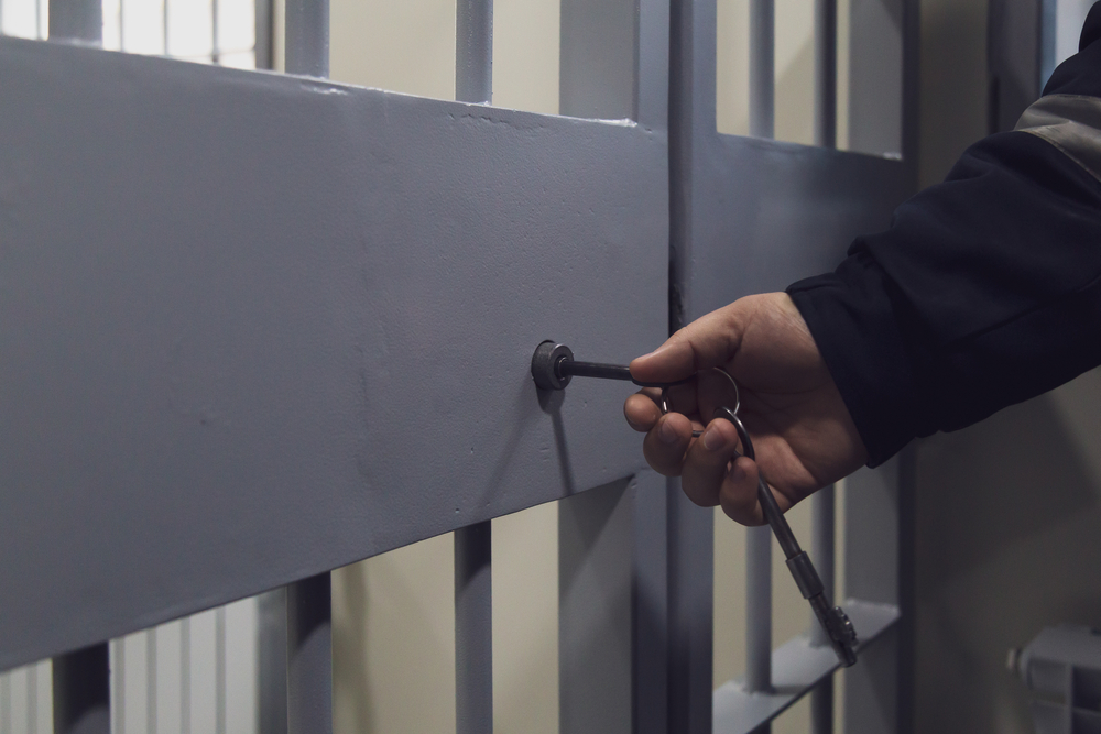 Дмитрию Бокову* дали 19 лет за подготовку массового убийства в Подмосковье