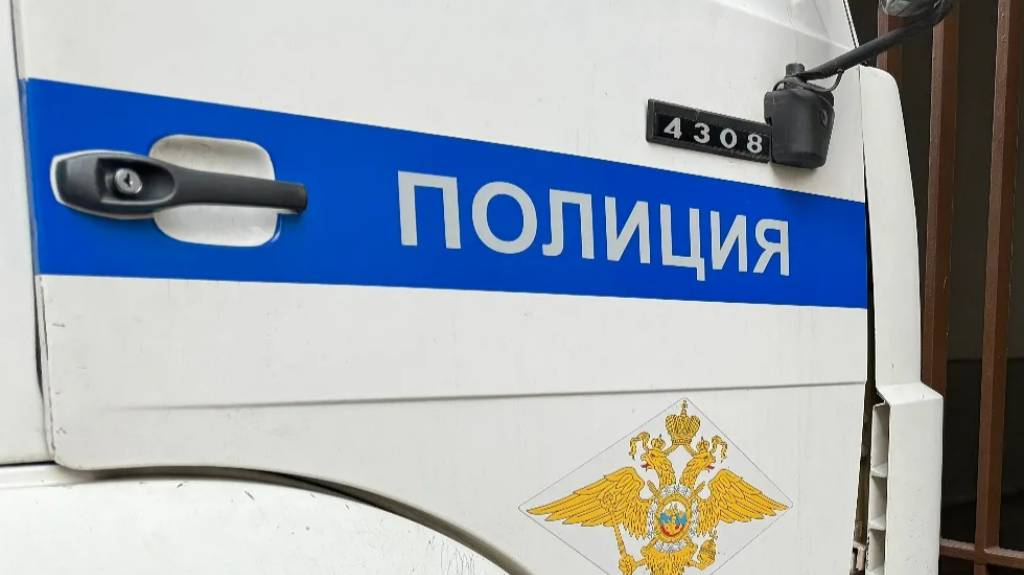 В Петербурге возбудили дело после драки подростков с мачете у ТРК &laquo;Сити Молл&raquo;