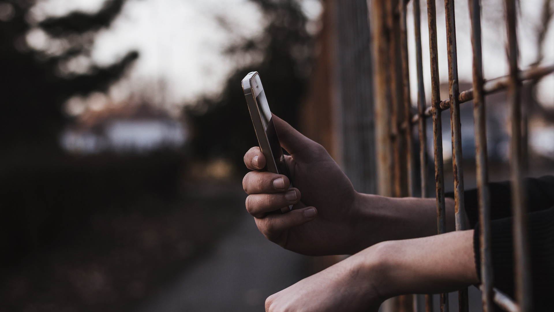 Суд дал по 15 суток трём мужчинам, повесившим замок на вход в здание Роскомнадзора