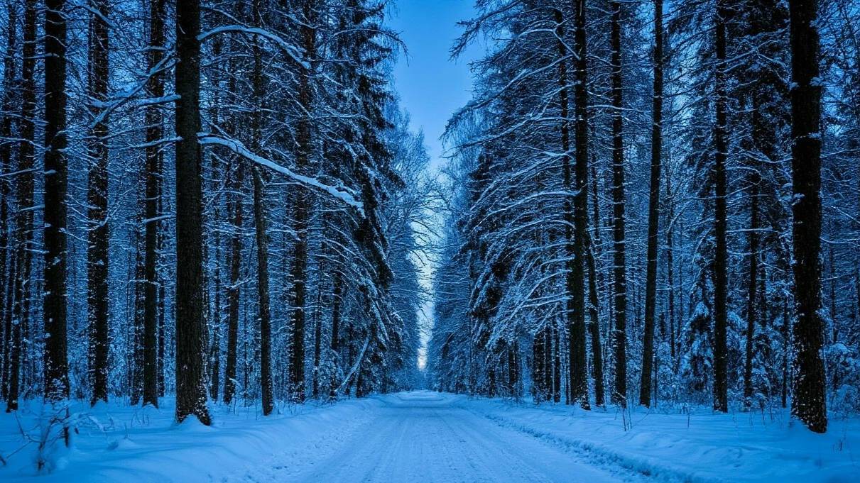Пропавшая на сутки свердловская чиновница заявила, что заблудилась в лесу