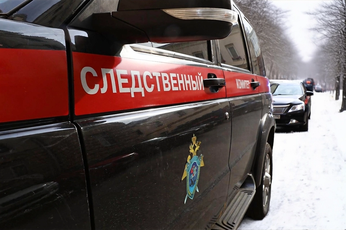 Пропавшая петербурженка с двумя дочерьми найдена во Владимирской области