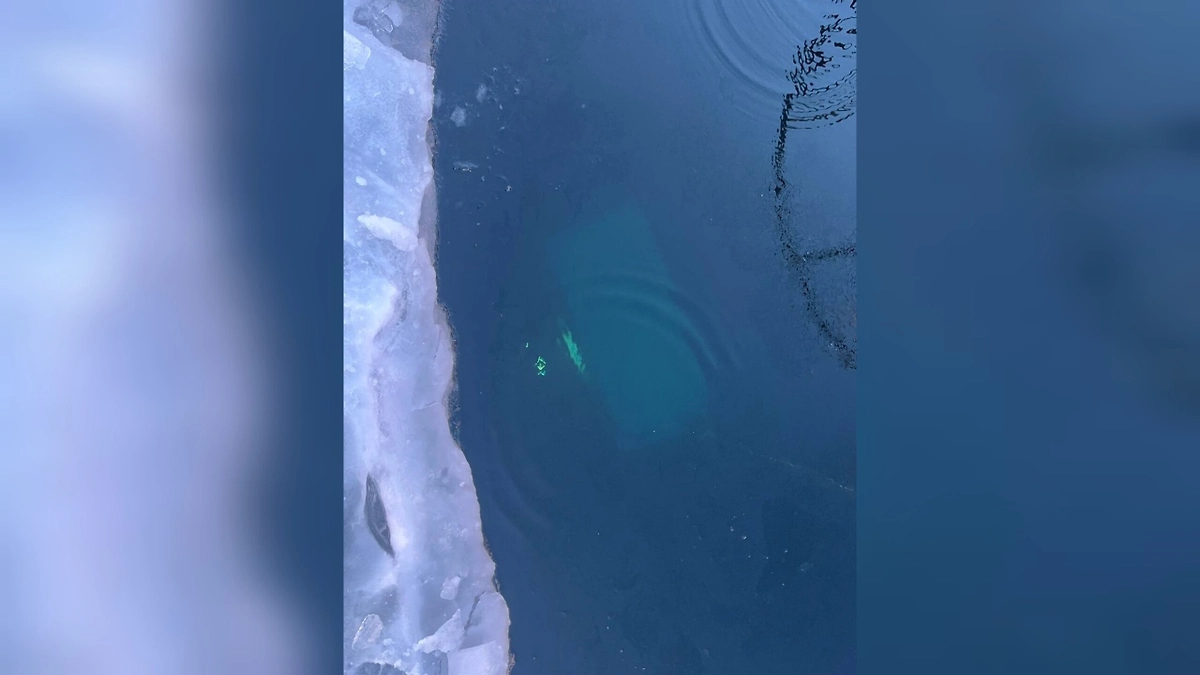 Тела погибших на Байкале китайских туристов передали родным