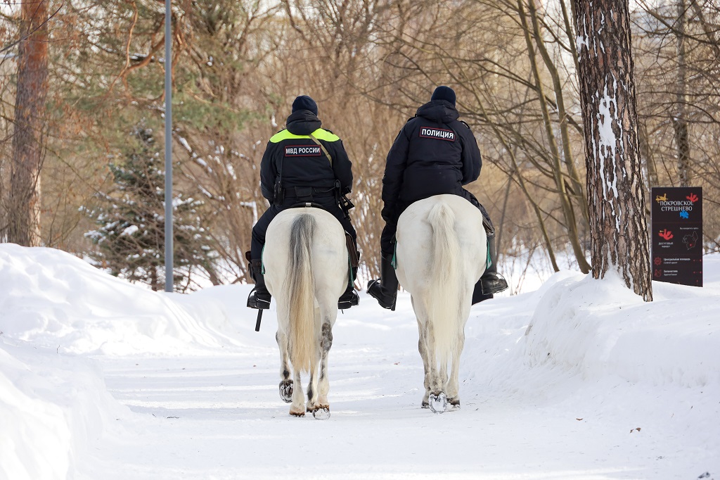 МВД хочет расширить круг лиц с полицейскими полномочиями