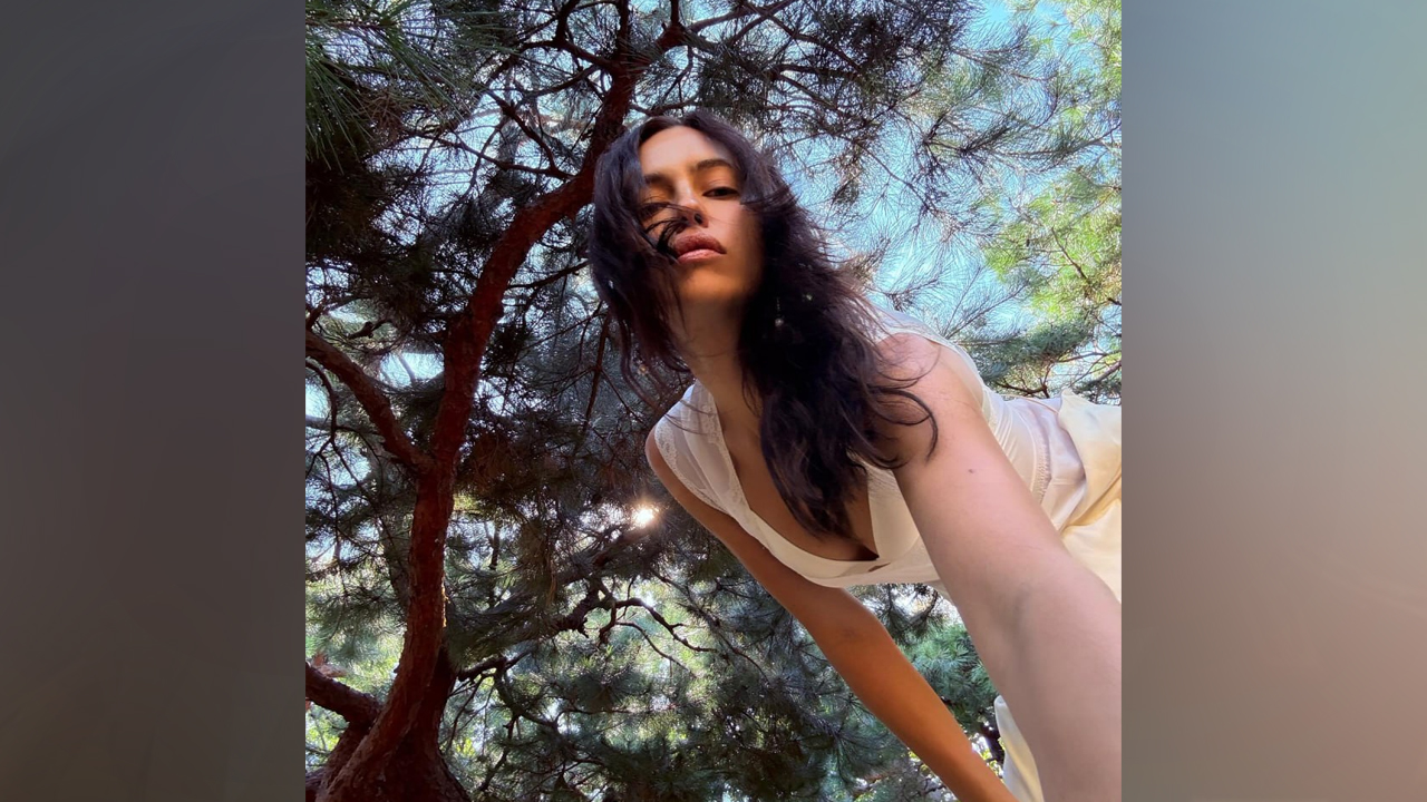 Джеффри Эпштейн хотел встретиться с Ириной Шейк в День святого Валентина