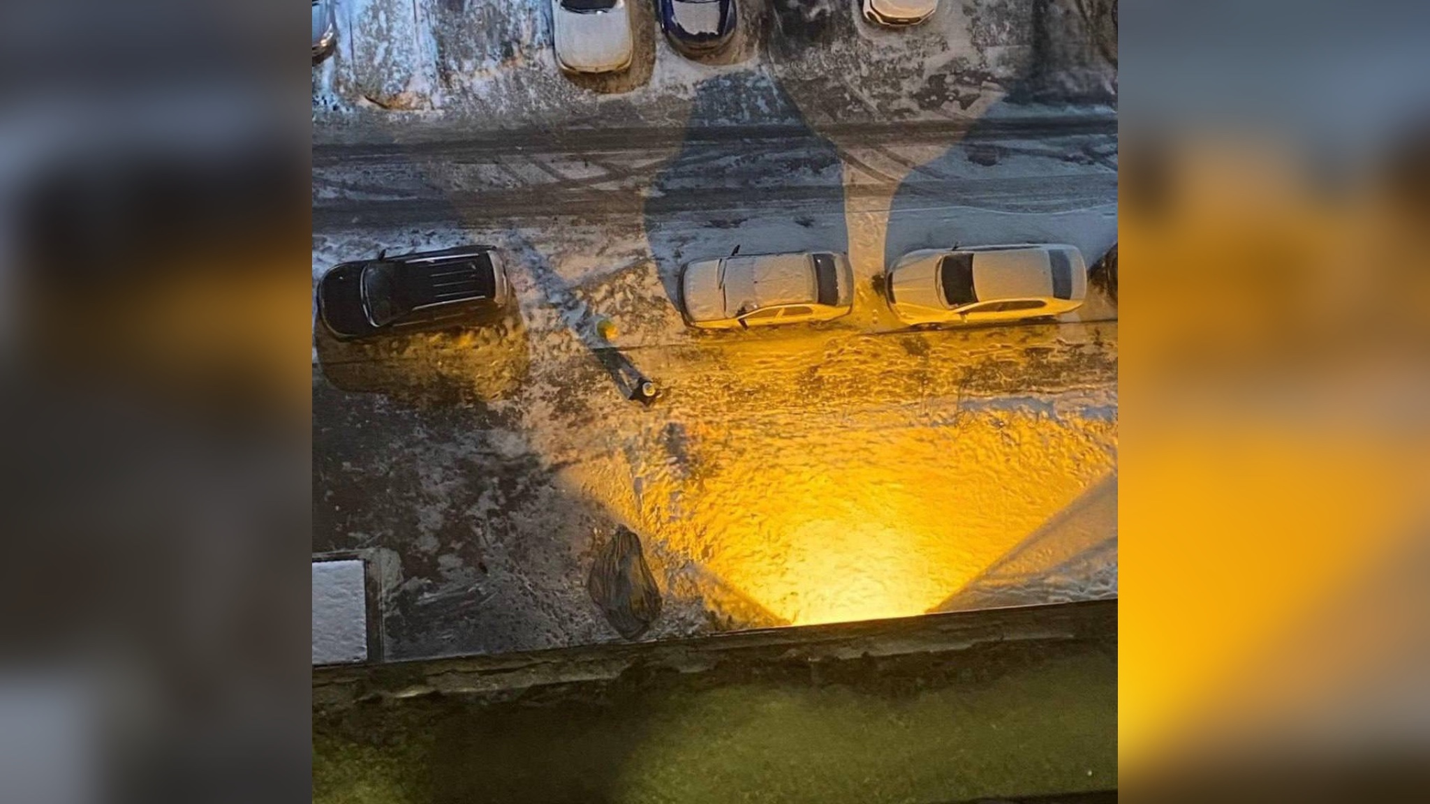 В Ленобласти иностранка выбросила двух детей с 16-го этажа, а затем покончила с собой