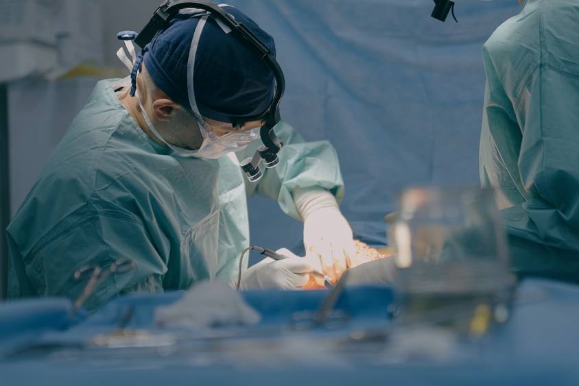 Испанские учёные улучшили эффективность лечения рака поджелудочной железы