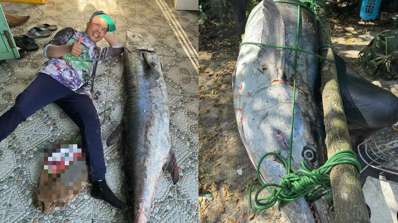 Рыбак вытащил из моря 63-килограммового &laquo;монстра&raquo; ростом с человека
