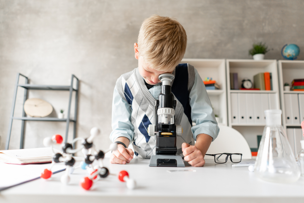 Школьник из Пущино нашёл бактерию, убивающую плесень