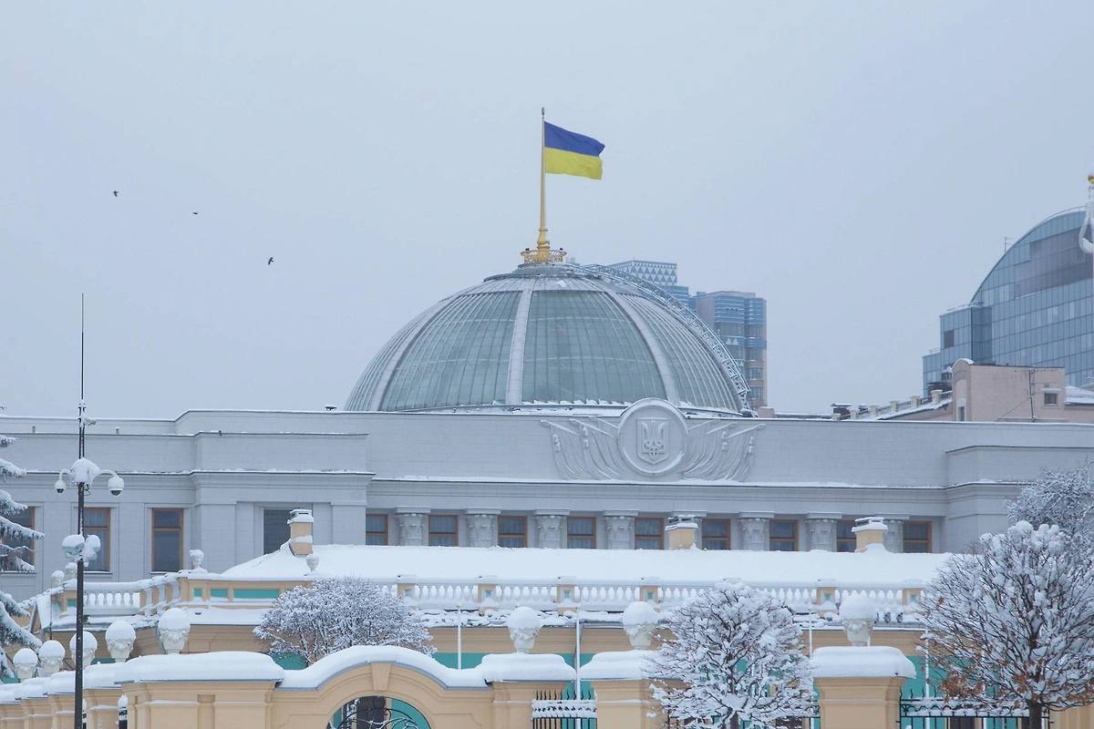 Депутат Верховной Рады сравнил принудительную мобилизацию с изнасилованием