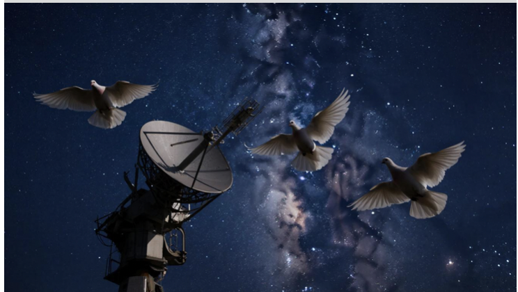 Радио Судного дня отправило в эфир &laquo;Голубей&raquo;