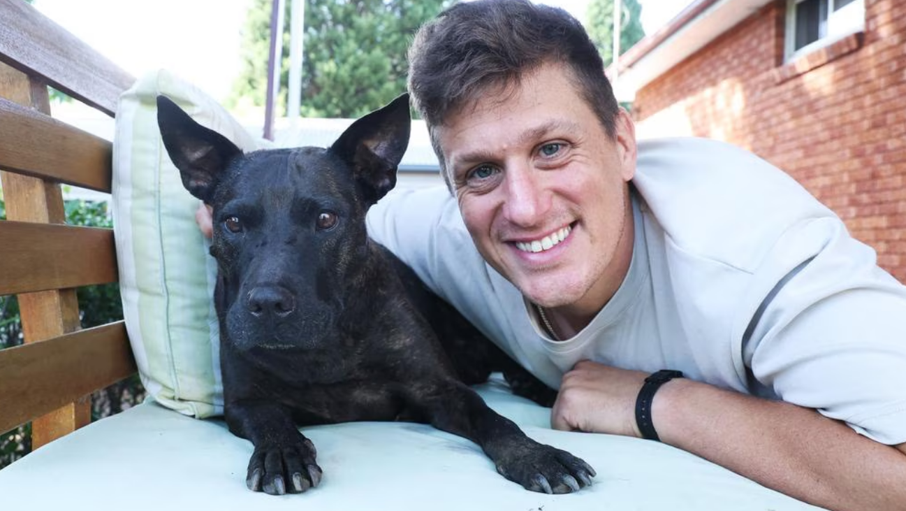 Австралийский айтишник спас собаку от рака с помощью ChatGPT