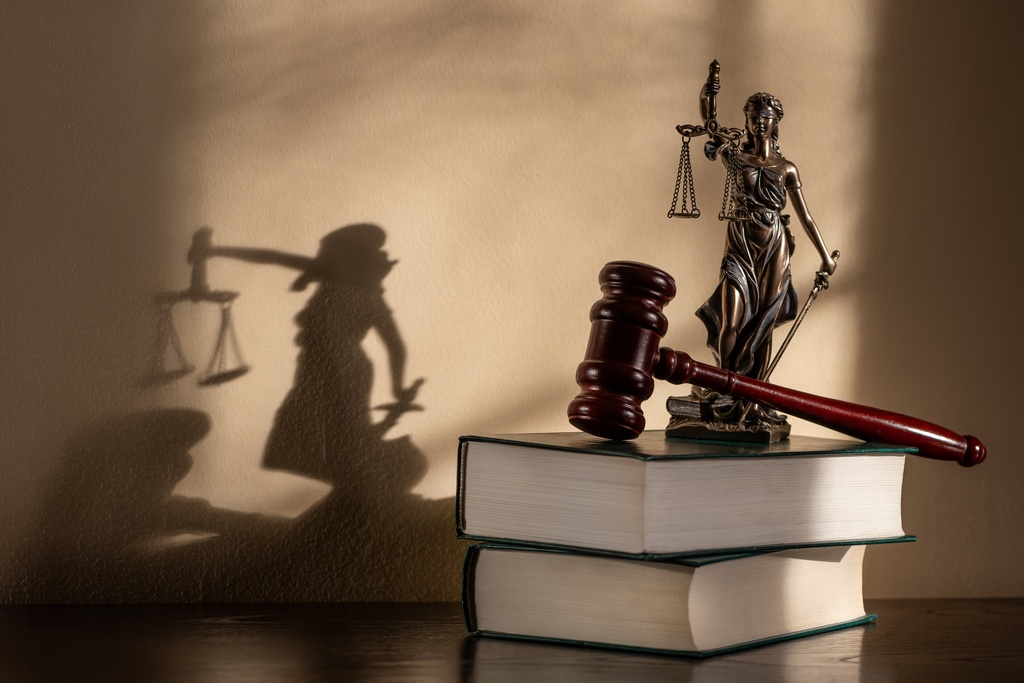 В Приморье будут судить директора школы, где второклассницу пытали туалетным ершиком