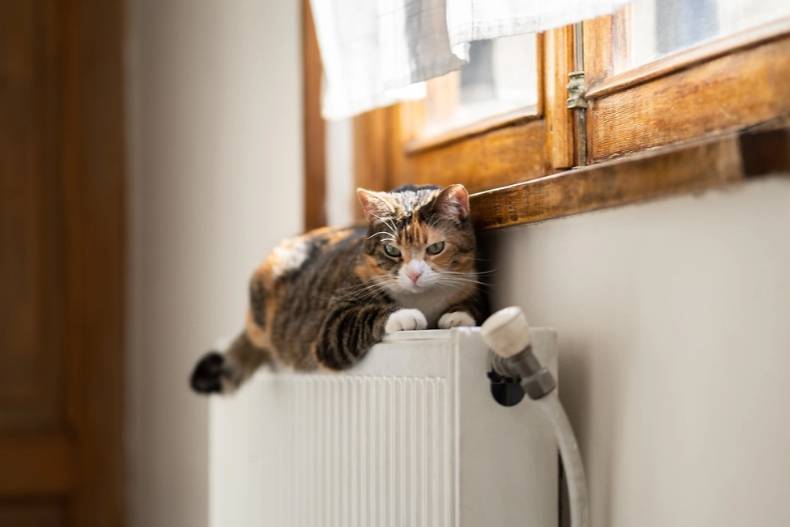 Под присмотром коммунальщиков: Как поменять батареи и не напороться на штраф