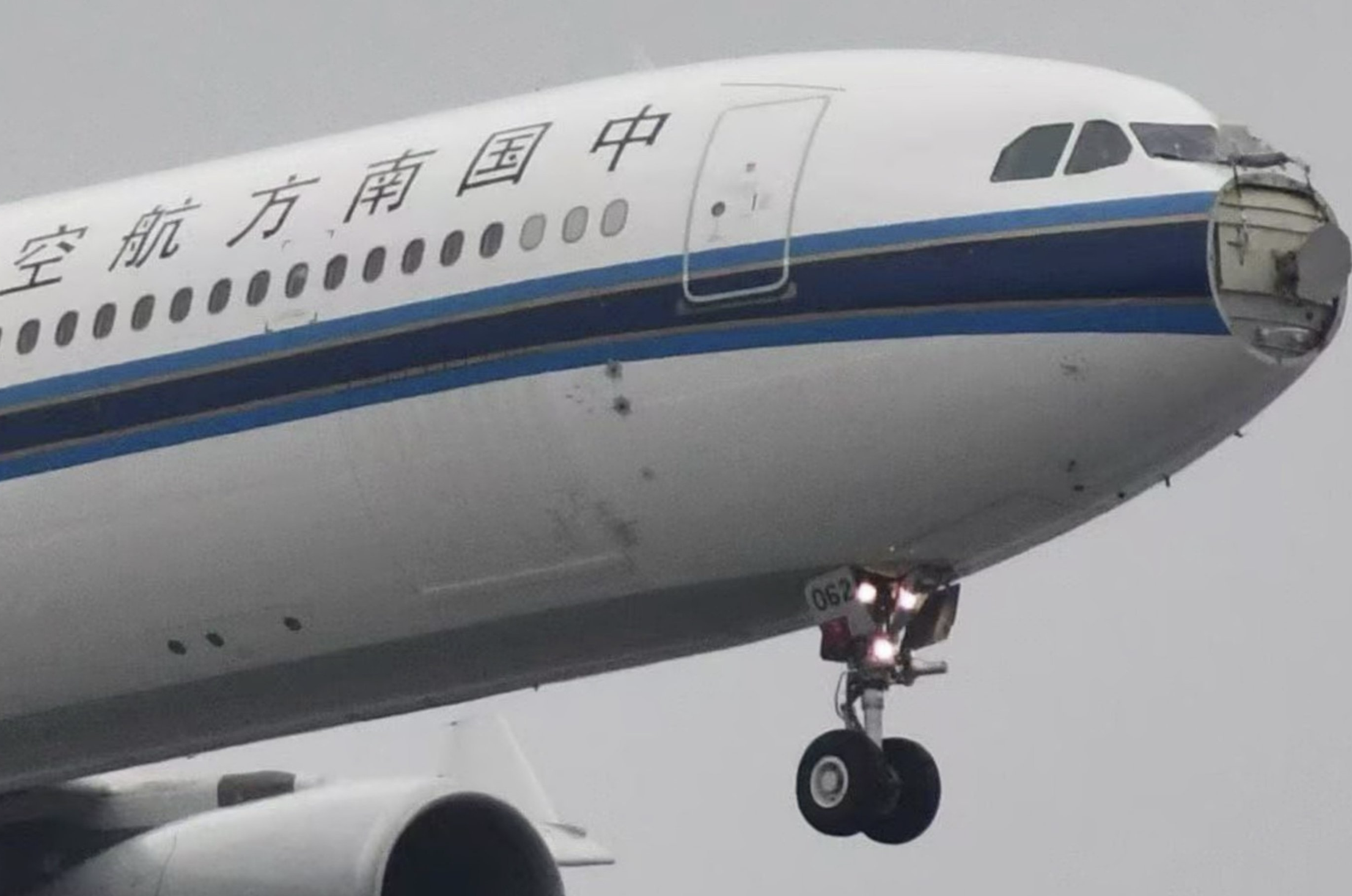 Стая птиц оторвала нос авиалайнеру, летевшему над Шанхаем