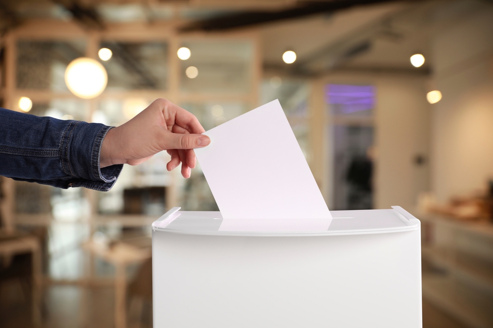 Власти Литвы не стали лишать россиян права голоса на выборах