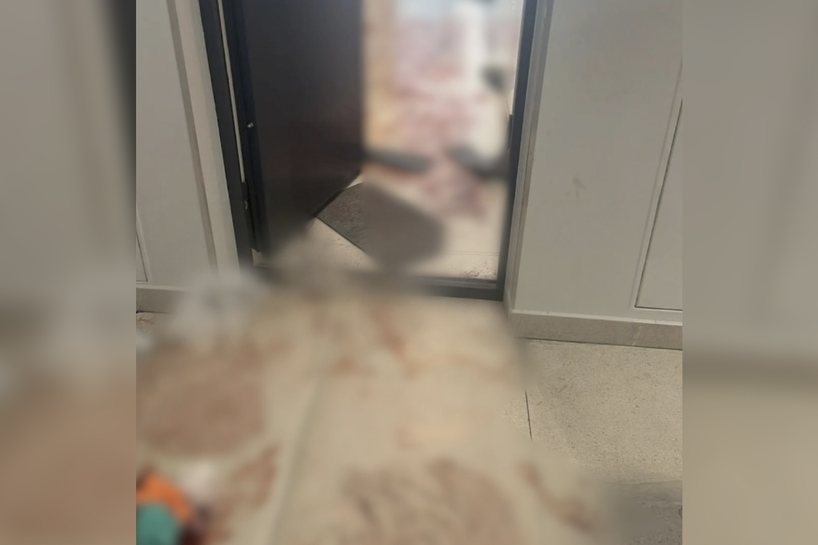 Изрезавший девушку на севере Москвы сталкер пришёл к ней с бананами и телефоном