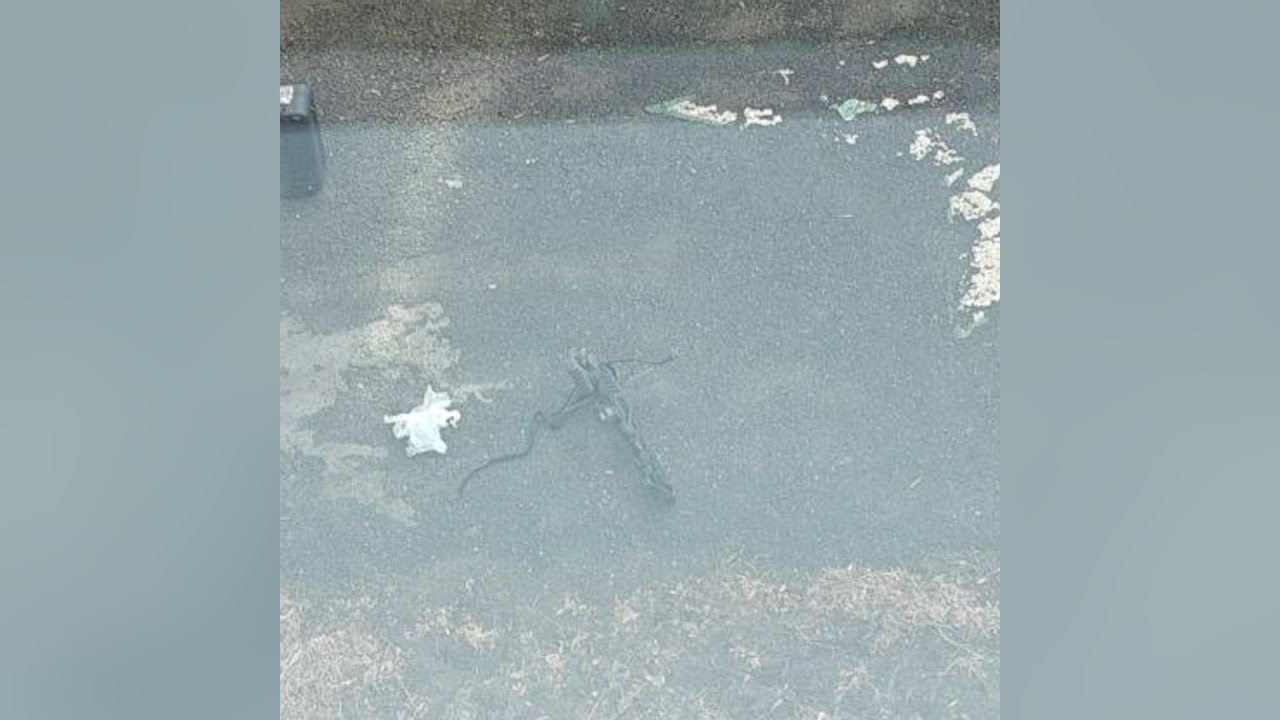 В Челябинске школьник выстрелил в одноклассницу из арбалета и сбежал через окно