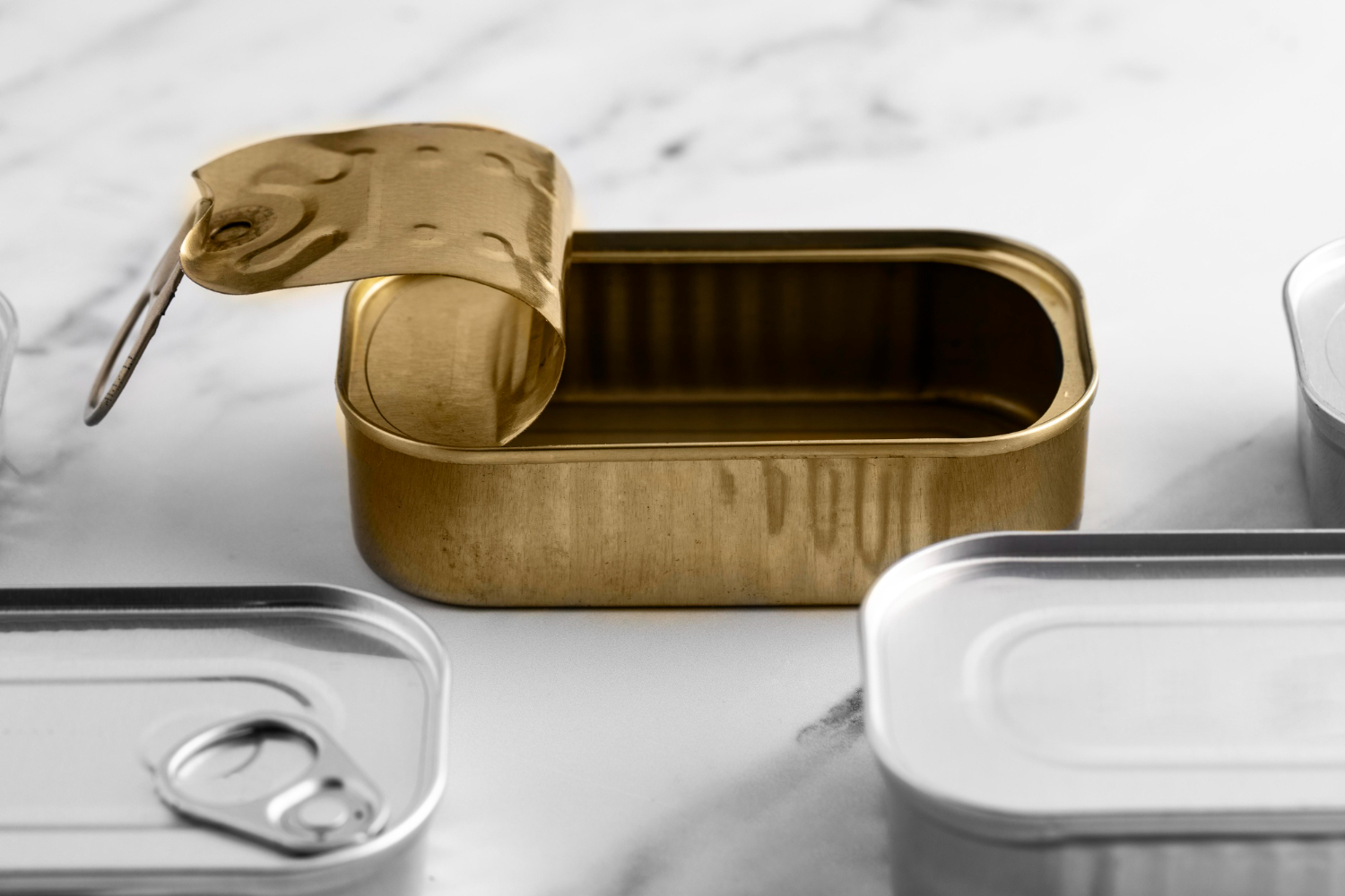 В Иране сообщили о заминированных консервах с тунцом для военных КСИР