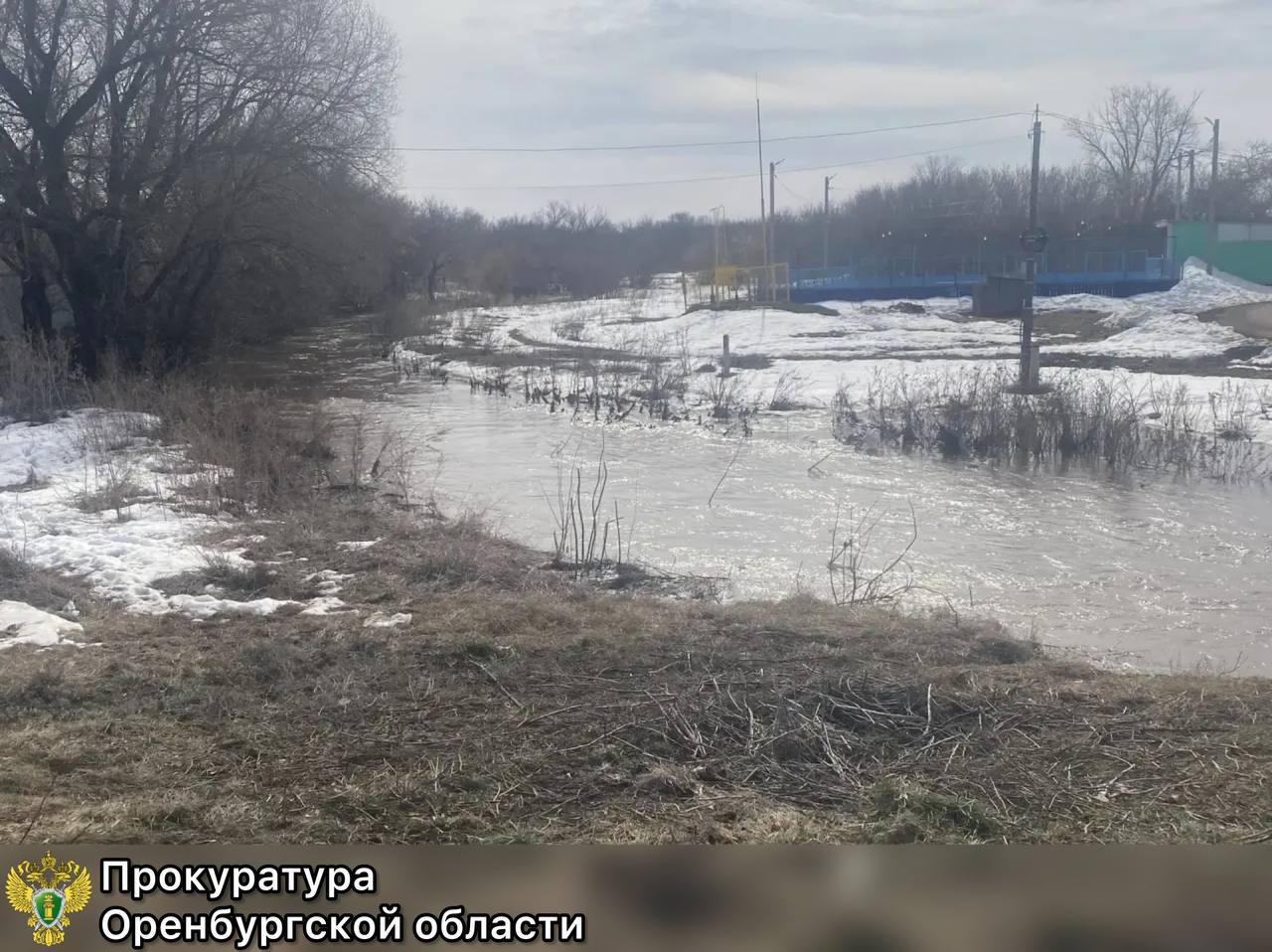 В Оренбургской области ищут шестилетнего ребёнка, упавшего в реку Елшанка