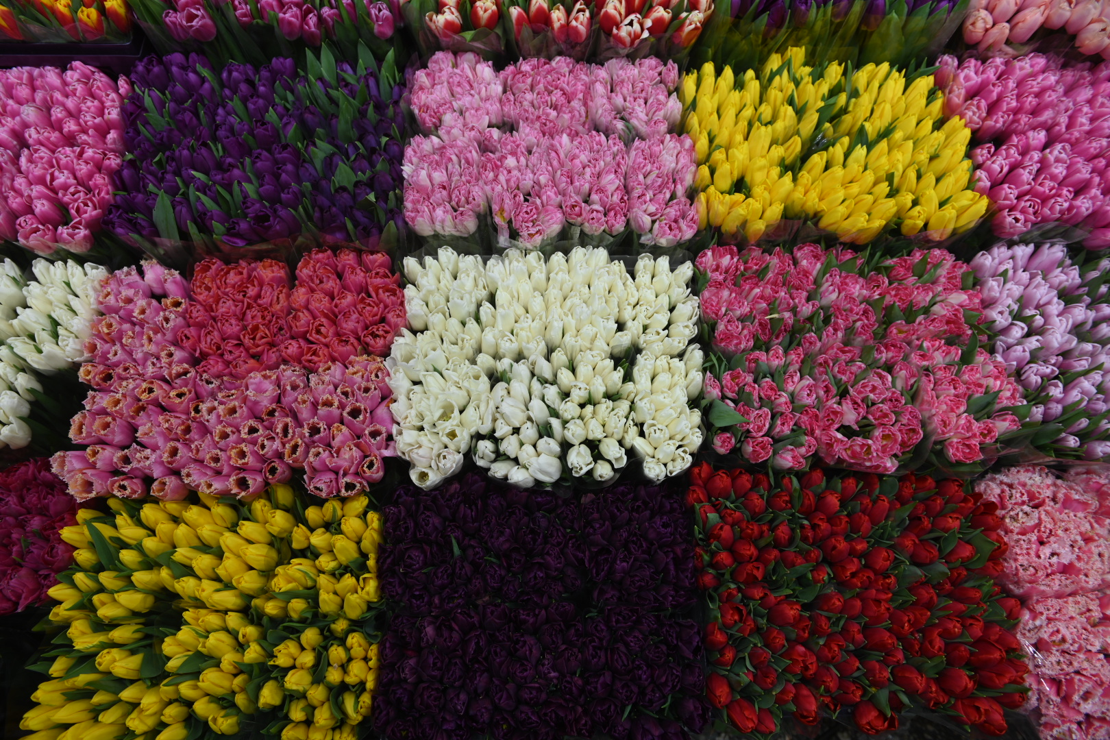 Как выбрать свежие цветы на 8 Марта: советы флористов