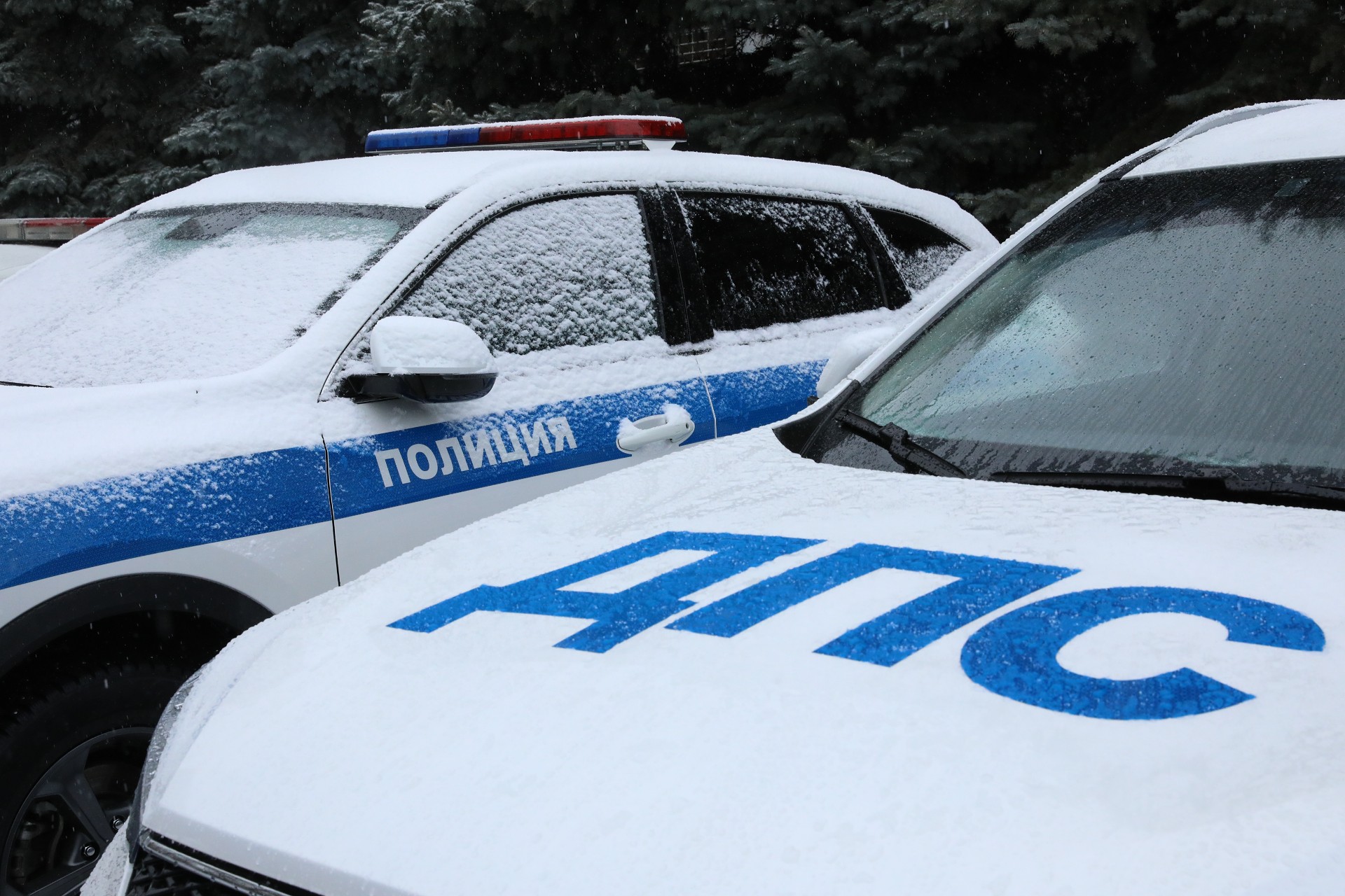 Водителей предупредили о штрафе до 15 тысяч из-за незаметной пометки в правах