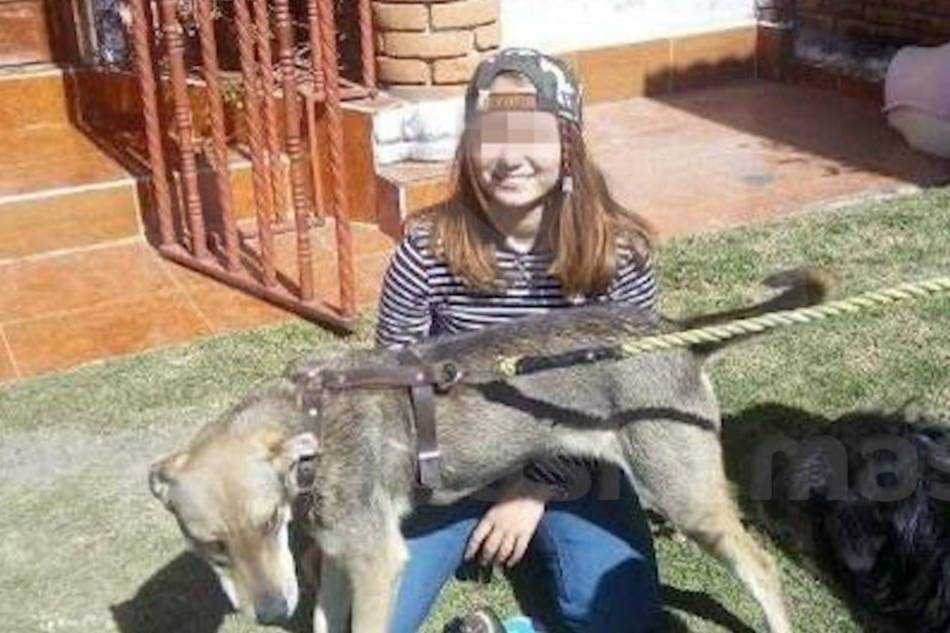 В похищении дочери пианистки Романовой ищут след чёрных трансплантологов


