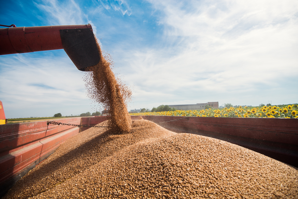 Путин выявил спад в сельском хозяйстве Кубани и потребовал объяснений

