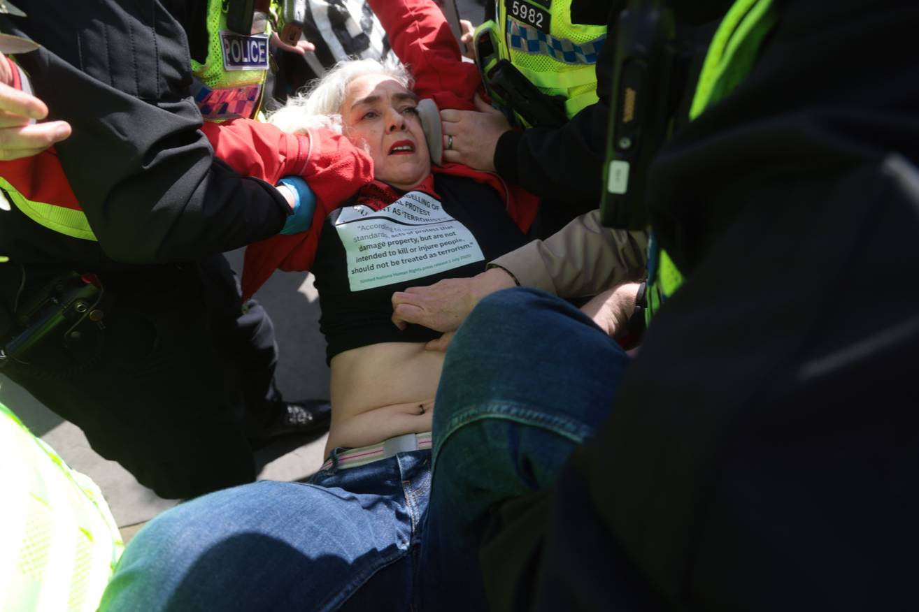 Более 500 человек задержаны в Лондоне за поддержку пропалестинского движения

