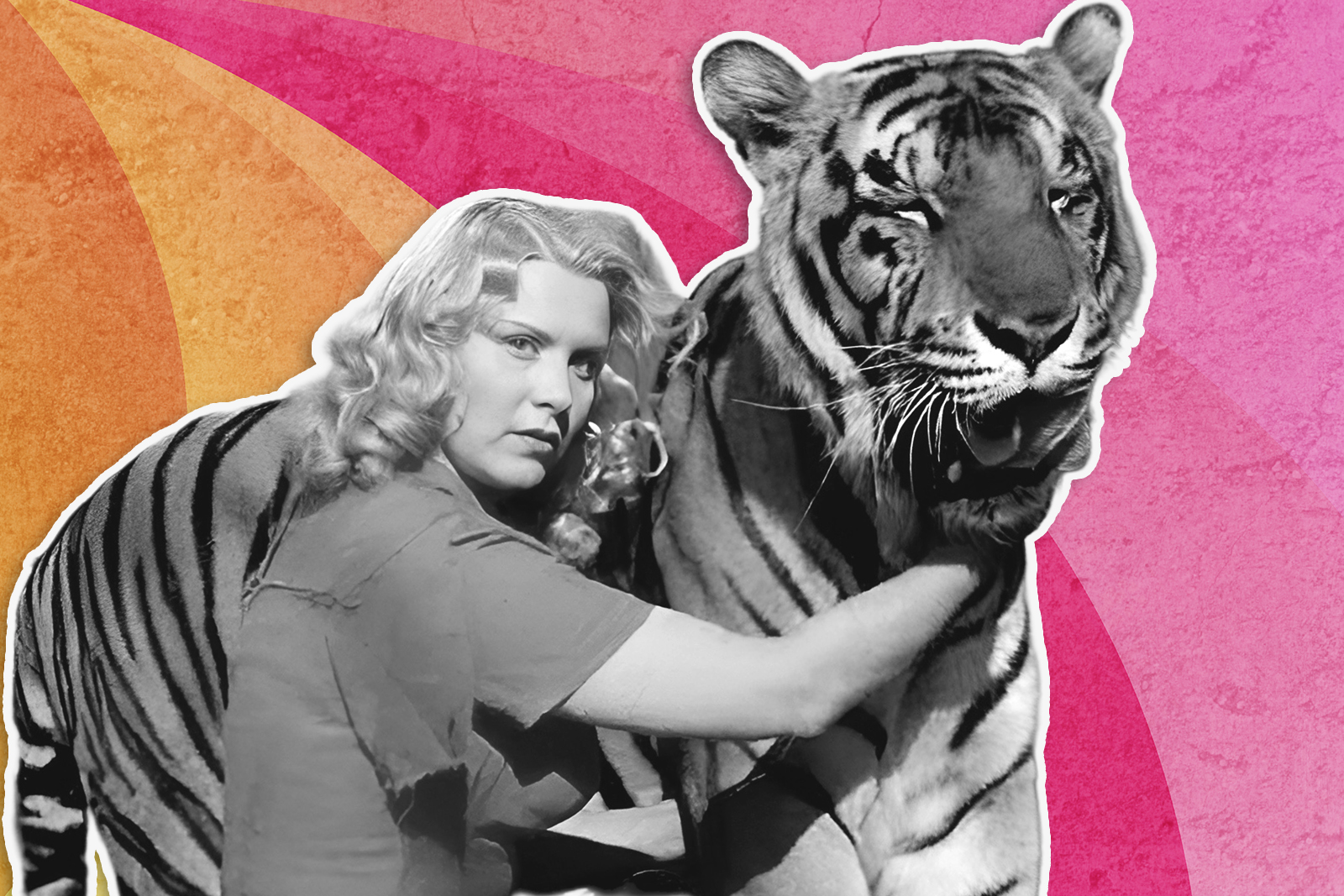 Кроссворд по фильму &laquo;Укротительница тигров&raquo;: Сможете укротить 7 вопросов или сдадитесь на первом?