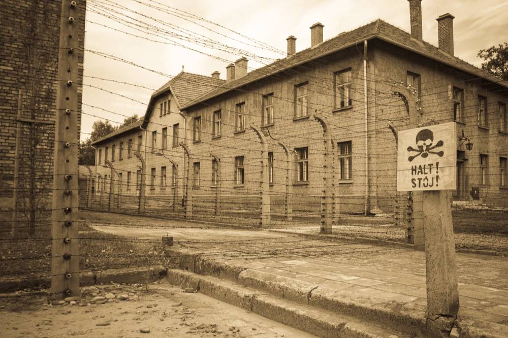 В Германии призвали признать геноцид советского народа в годы Второй мировой