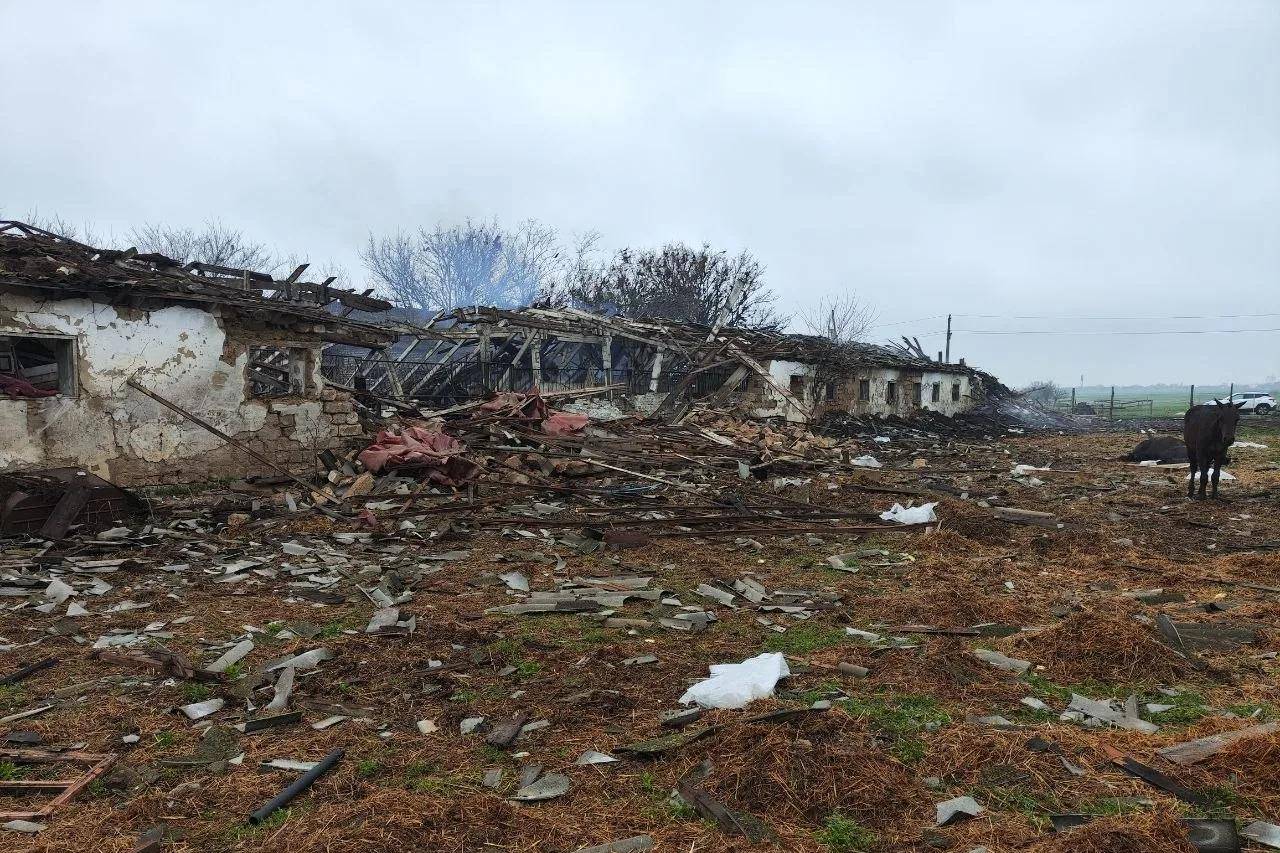 Украинские БПЛА атаковали конную ферму в Запорожской области, погибли 14 лошадей