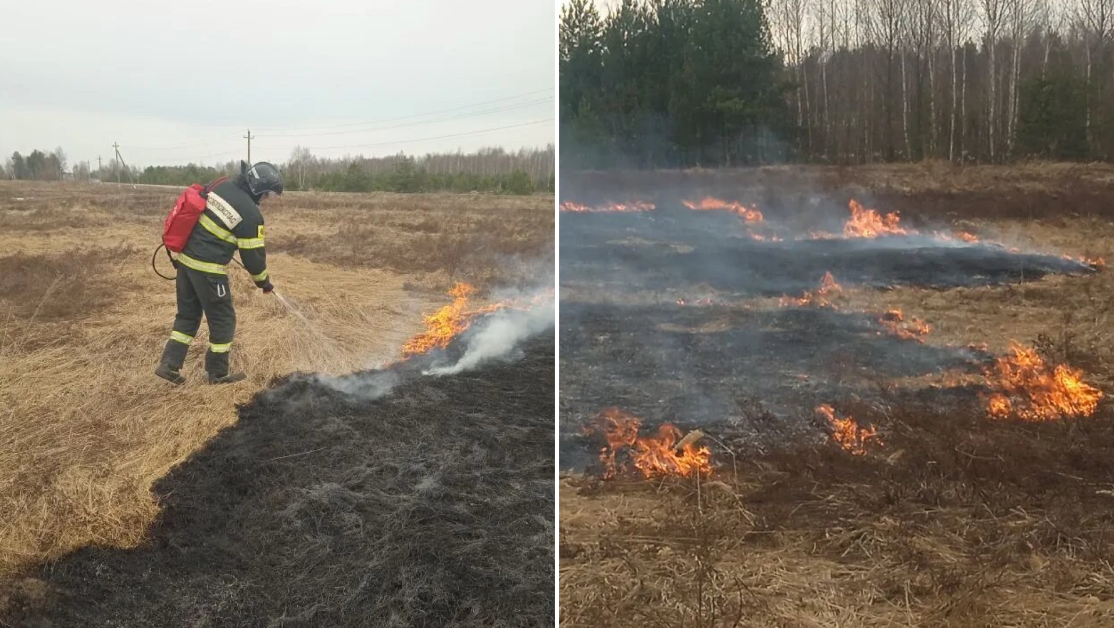 В Подмосковье начались первые лесные пожары