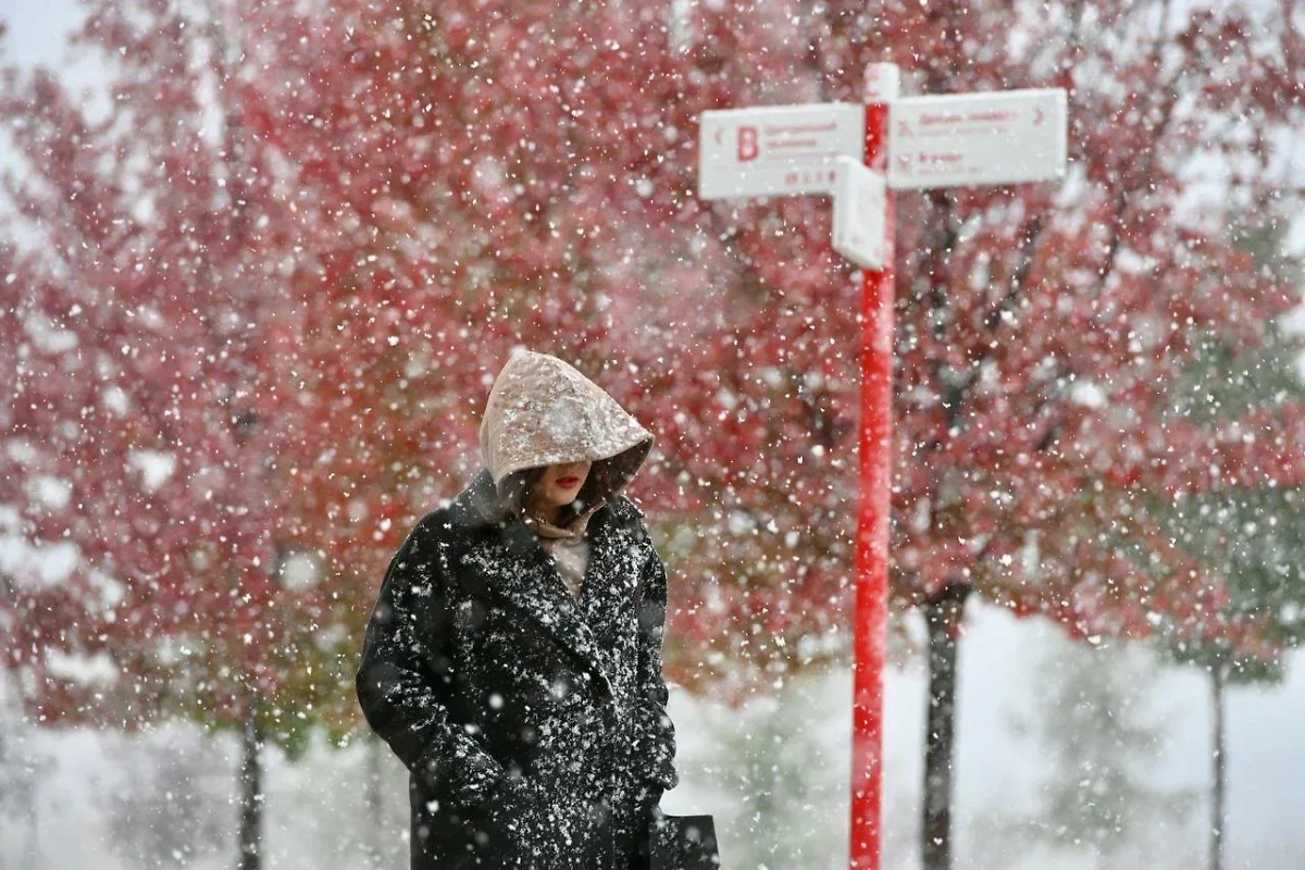 Зона снегопадов расширилась до юга Московской области
