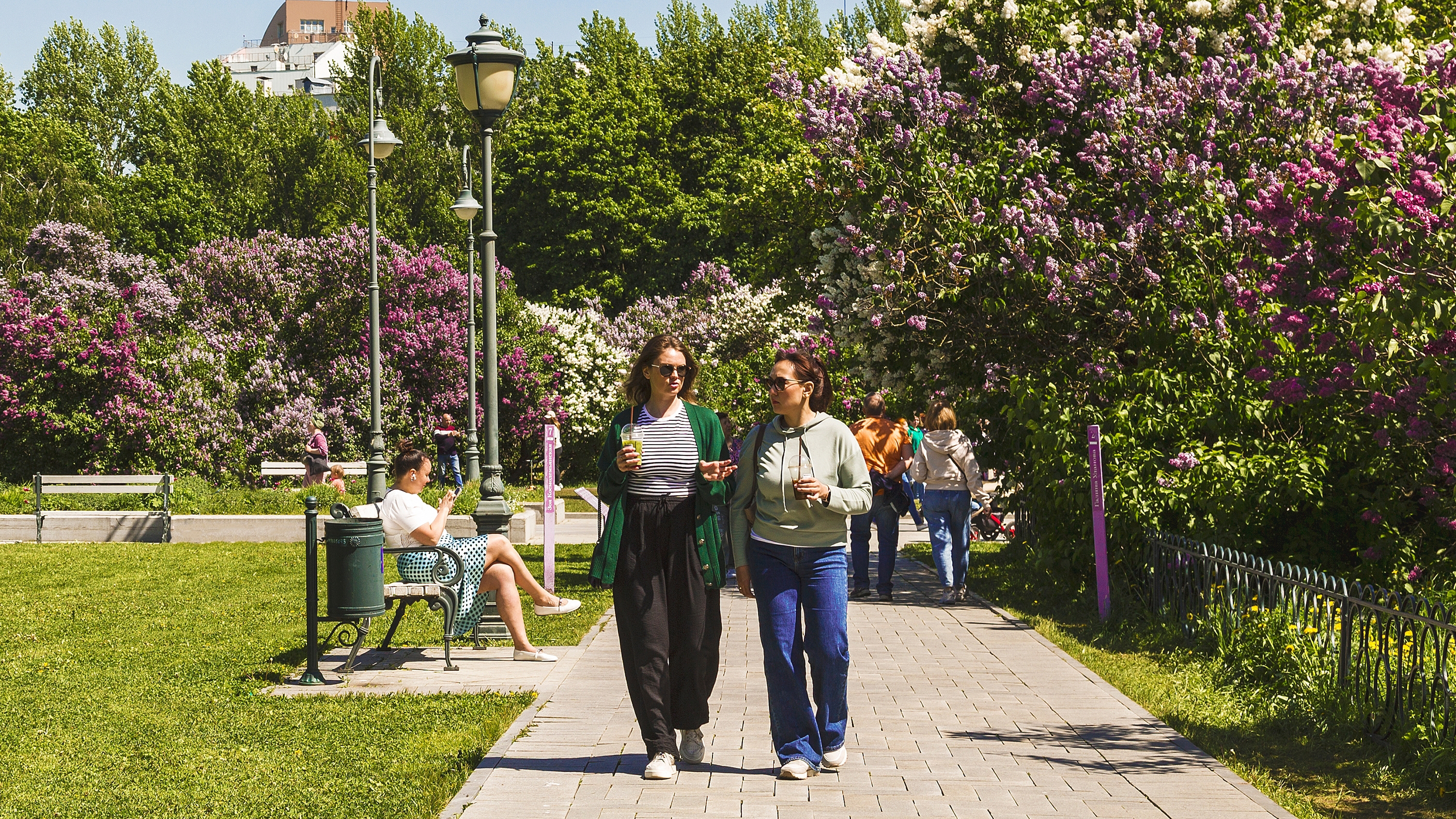 Погода на майские праздники 2026: какая будет 1 и 9 Мая в Москве, СПб и других городах
