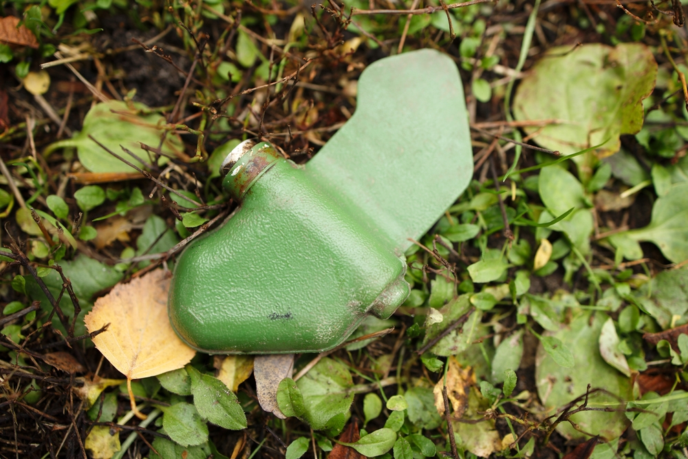 Мирная жительница погибла, наступив на мину &laquo;Лепесток&raquo; в селе Брянской области