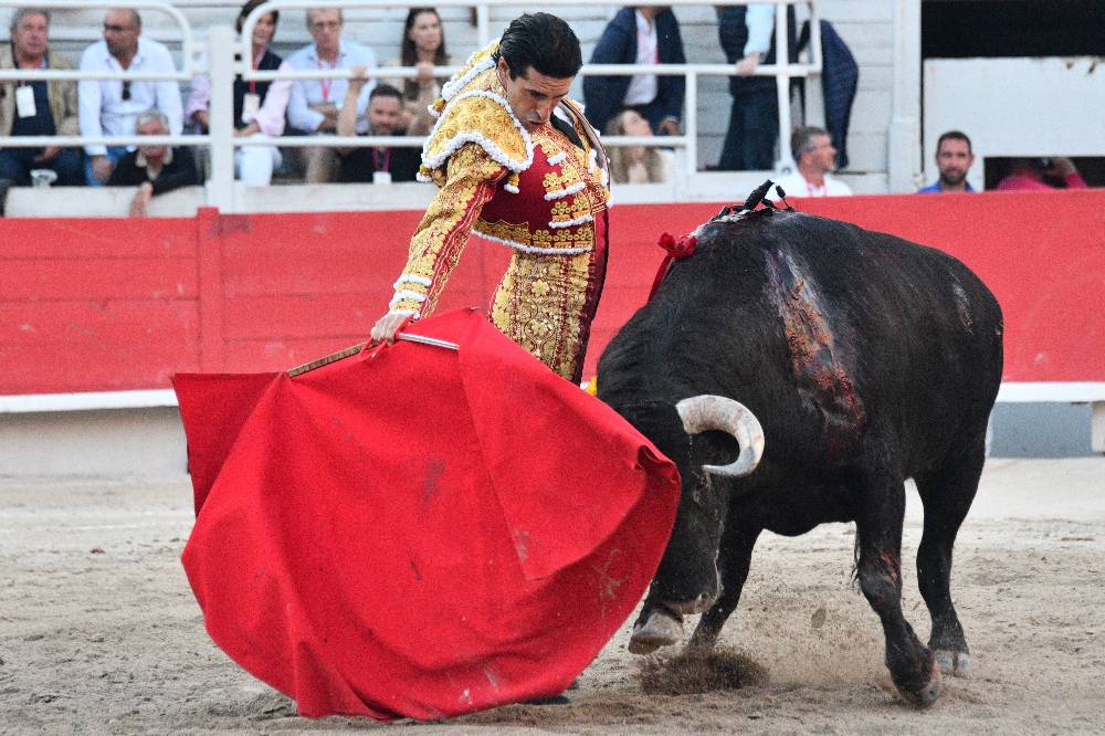 В Испании бык «пригвоздил» тореадора к арене, вонзив в него рог на 10 см