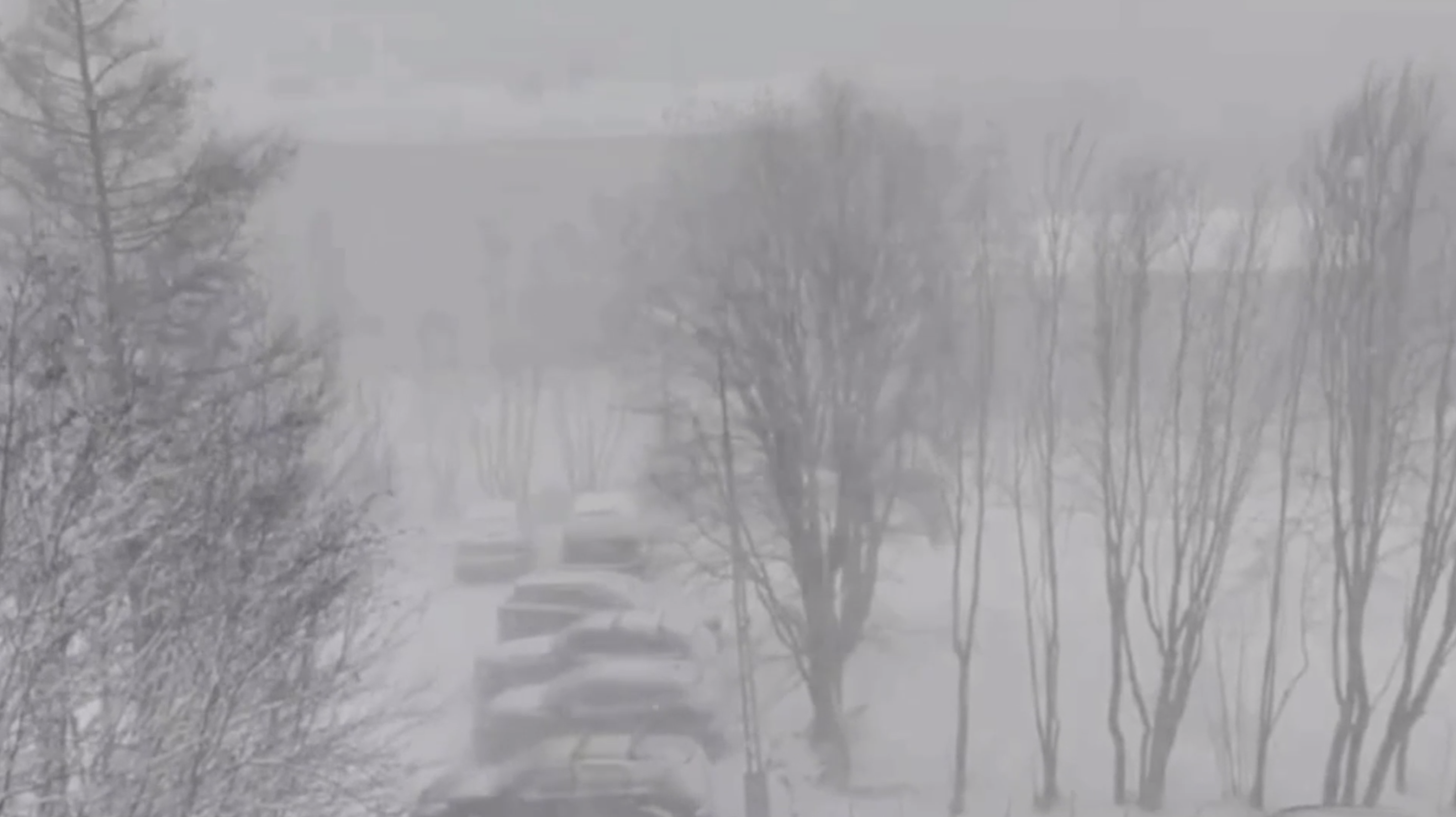 Мурманск накрыла метель с ветром до 27 м/с и снегом по колено

