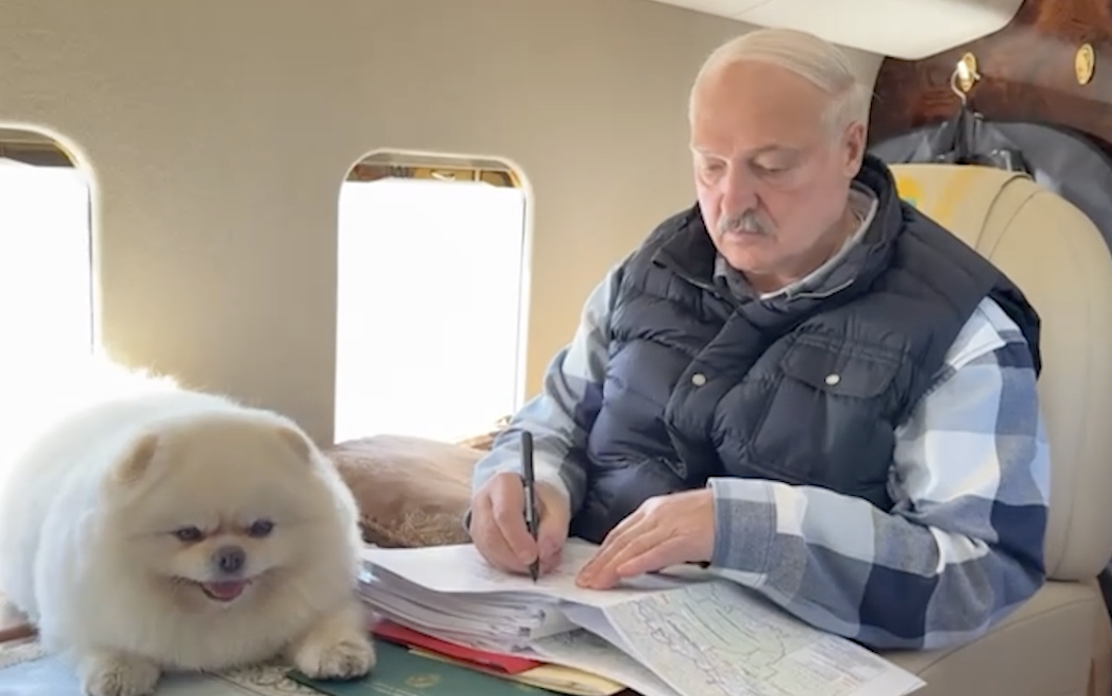 Шпиц Умка полетал над Минской областью, инспектируя работу аграриев