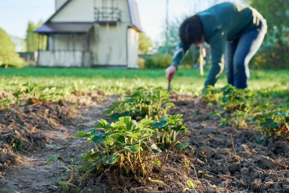 Тайная угроза дачи: Как привычные весенние работы незаметно перегружают нервную систему