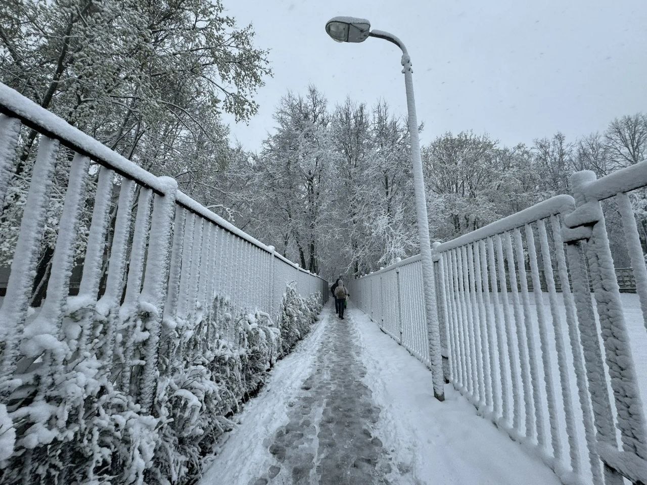 В Москве объявлен &laquo;оранжевый&raquo; уровень из-за снежного апокалипсиса 27 апреля