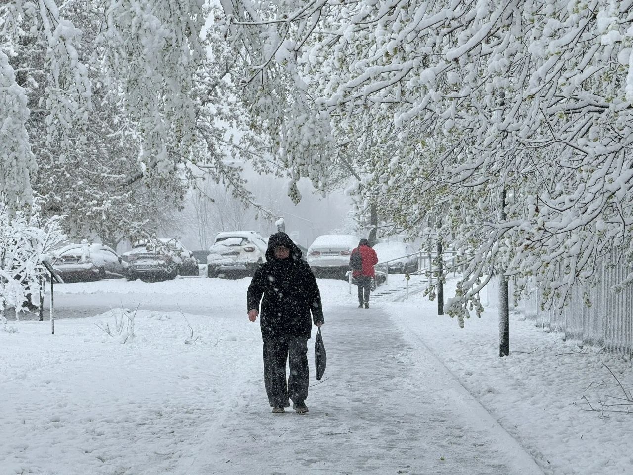 Виновника апрельского снегопада в Москве сняли из космоса