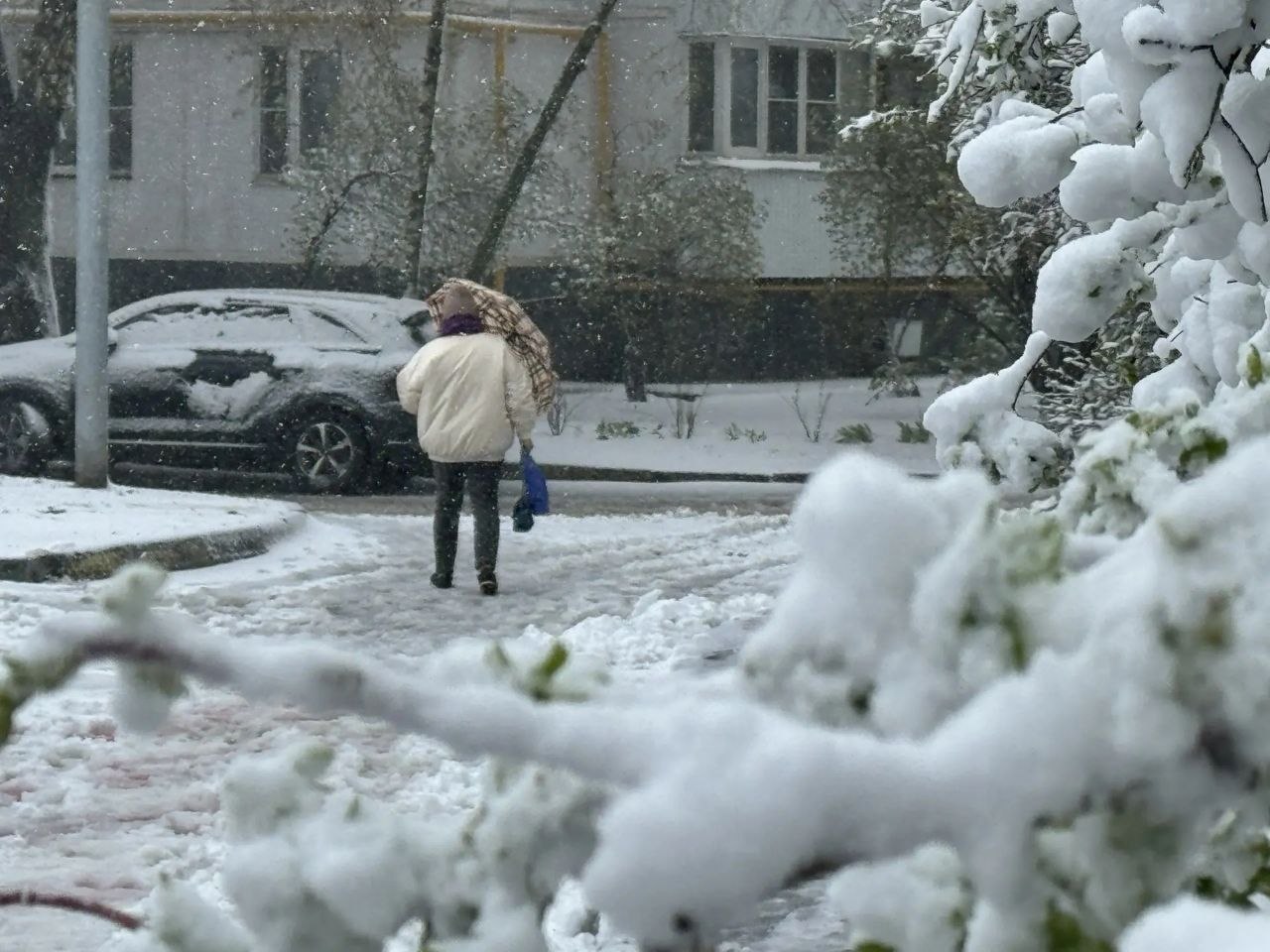 Москву засыпало слоем снега в 12 сантиметров, побит 55-летний рекорд