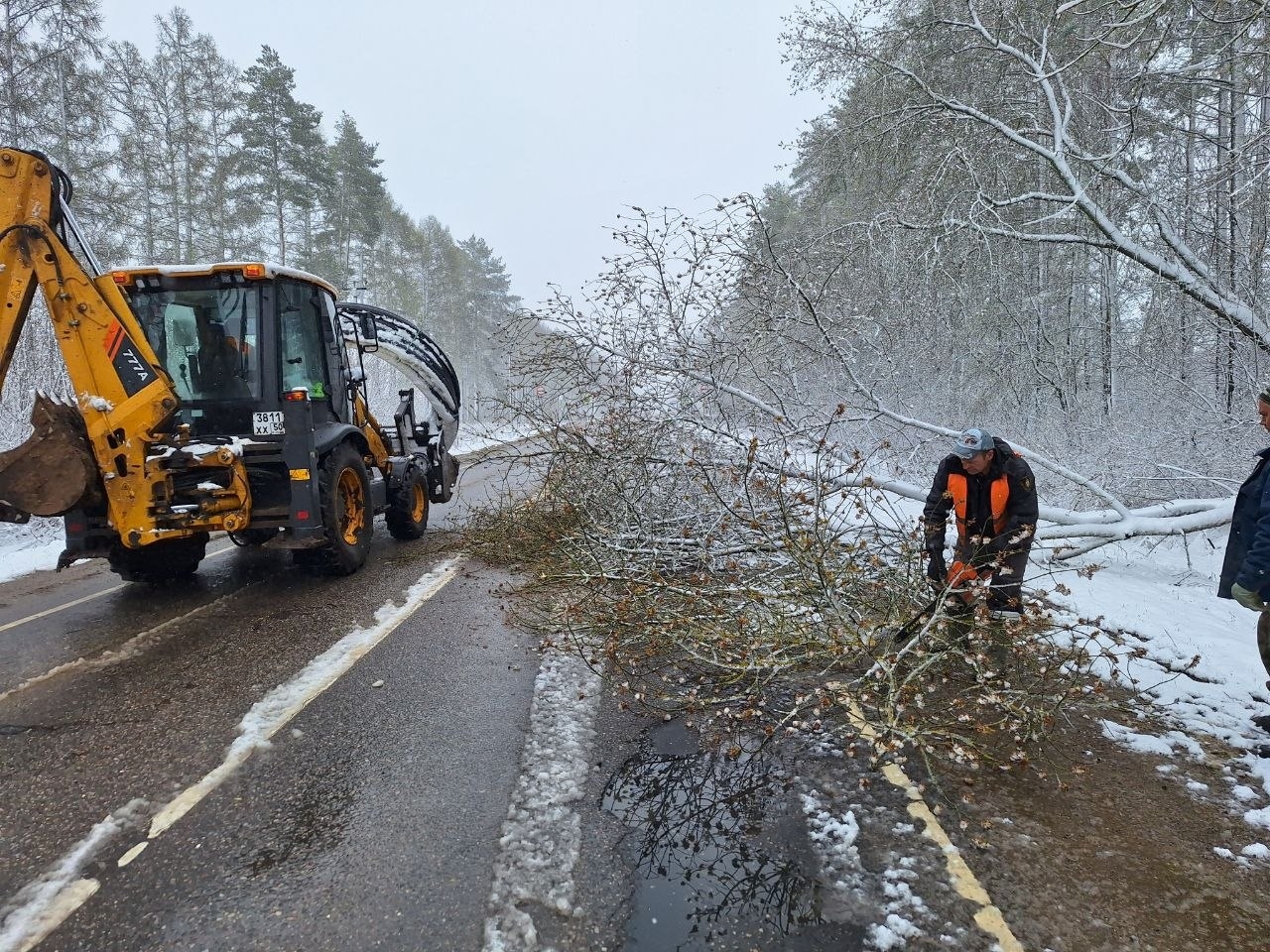 Снегопад и ветер повалили десятки деревьев на дороги в Подмосковье